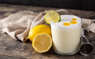 Velvety Lemon Posset with a Zesty Twist